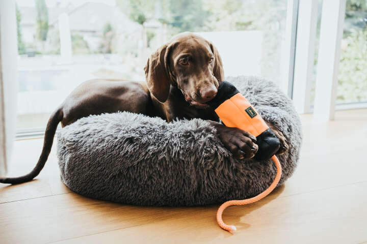 HUNTER Trainer-Snack Dummy mit Seil